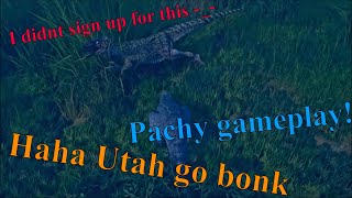 Pachy Gamplay! Pachy go Brrrr - The Isle Evrima