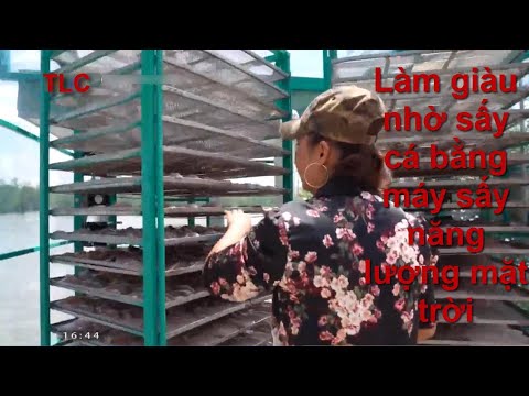 Video: Cách Làm Máy Sấy Cá