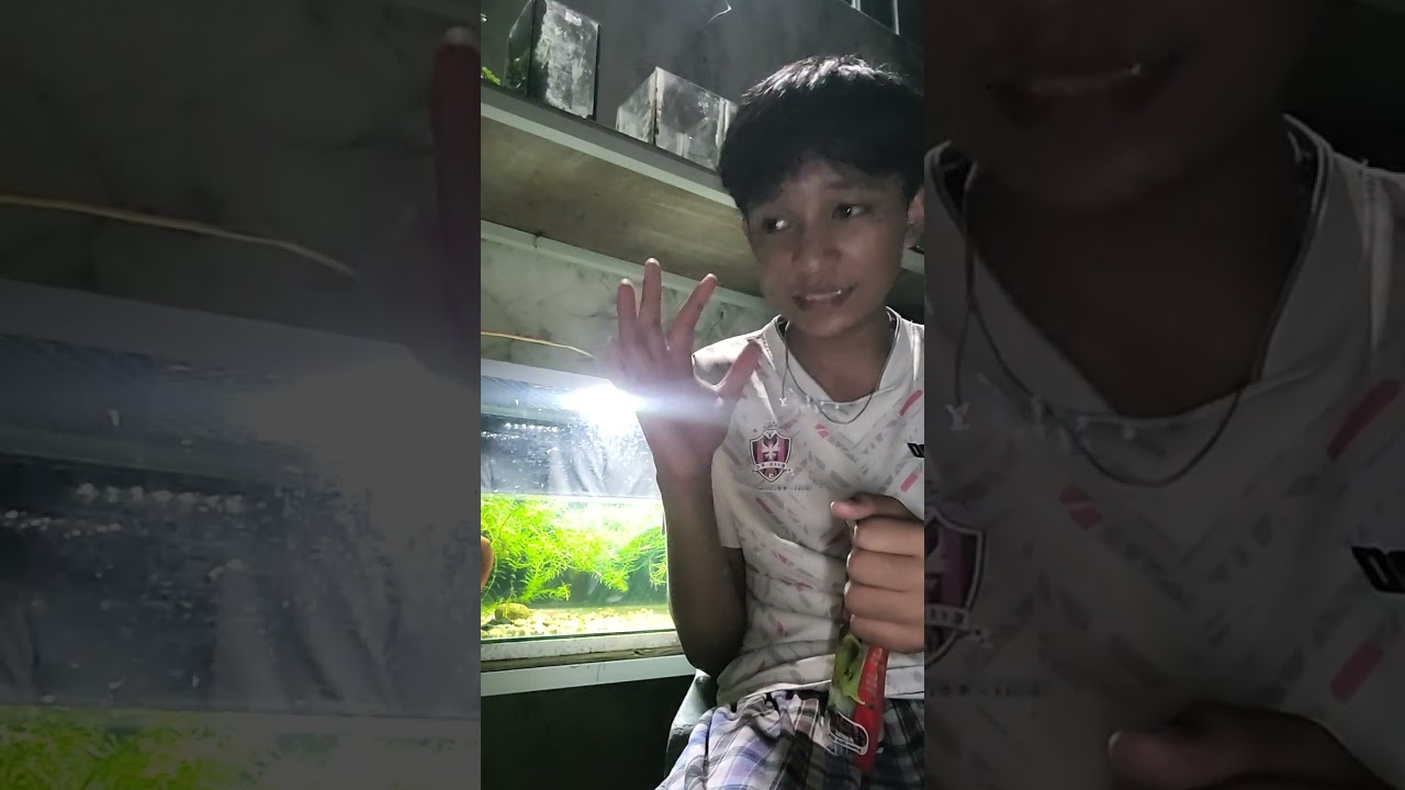 Channaစမွေးမဲ့benniger channakeeperညီကိုတွေအဖြစ်များတဲ့ပြသနာ🤔?#Tkstaquarium#thukhant