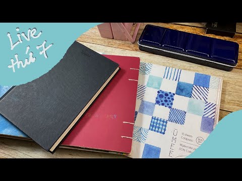 Video Live tối t7: Bàn về việc học vẽ minh hoạ tại nước ngoài - youtube