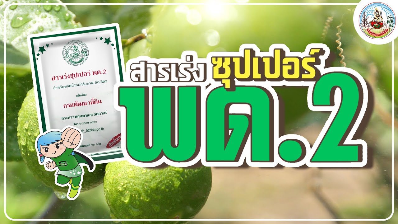 กรมพัฒนาที่ดิน-สารเร่งซุปเปอร์ พด.2 ชงน้ำหมักชีวภาพอัดธาตุอาหารคุณภาพ ...