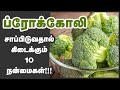     top 10 health benefits of broccoli tamil  health tips