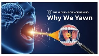 The Hidden Science Behind Why We Yawn