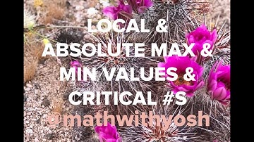 local & absolute maximum & minimum values & critical numbers