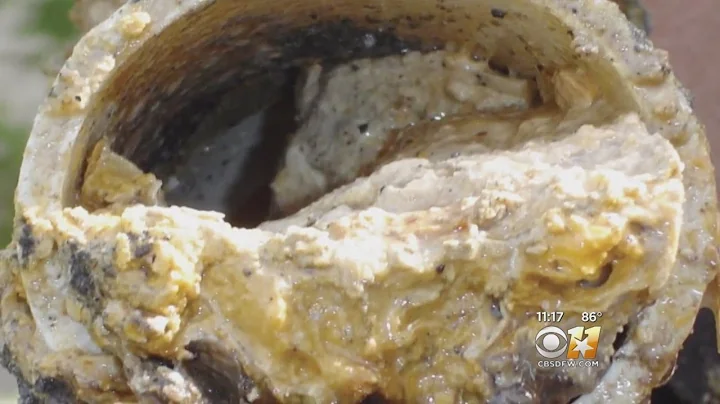 130-Ton "Fatberg" Causing Stink In London Sewers