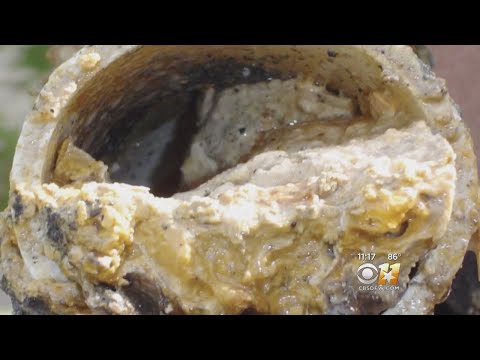 Video: Berapa besarkah Fatberg terbesar?