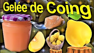 ?Comment faire sa gelée de coing ? (+ 