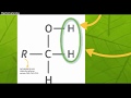 Chimie organique intro (Réaction d'oxydation)