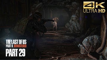 The Last of Us Part II Remastered Walkthrough - The Descent (Part 29)