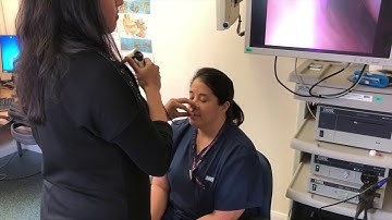 Flexible Nasal Endoscopy - ENT Academy