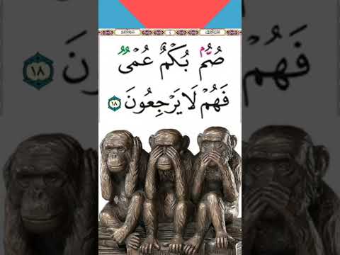          صم بكم عمي فهم لا يرجعون  