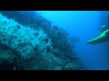 Dive 3 - Esmeralda Canyons, Ambergris Caye, Belize