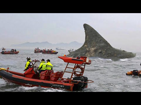 Video: 15 Oregon'daki En Güzel Şelaleler