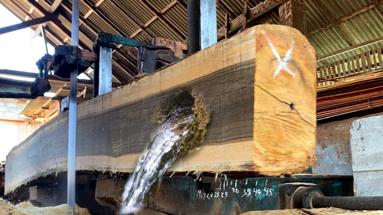 Unexpectedly, water appeared from inside the wood being sawed | sawmill
