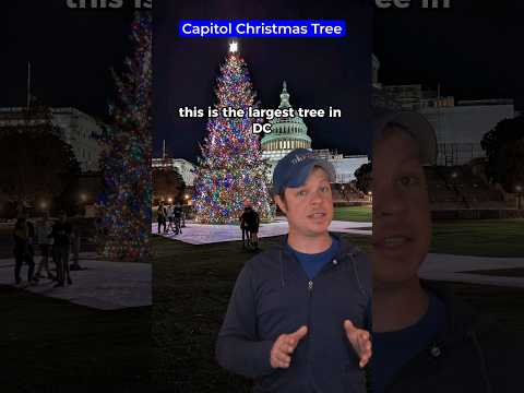 Videó: Teendők karácsonyra Washingtonban, D.C