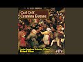 Miniature de la vidéo de la chanson Carmina Burana: Ii. In Taberna: In Taberna Quando Sumus