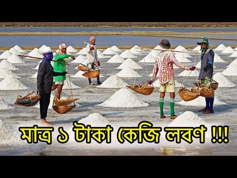 ভিডিও: ডিশওয়াশারে আমার কত লবণ দেওয়া উচিত? কতবার ডিশওয়াশারে রাখতে হবে? কখন মেশিনে লবণ যোগ করা উচিত? প্রথম ব্যবহারের আগে কত যোগ করতে হবে?