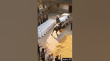 Cute Mexica Plush Dancing Cactus Electric Plush Toy #shorts #707