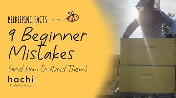 Beekeeping in the Philippines - 9 Beginner Mistakes and How to Avoid Them