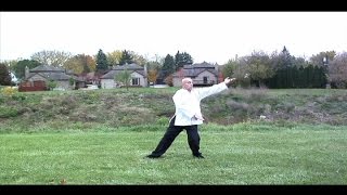 5 Element Yang Taiji form front view