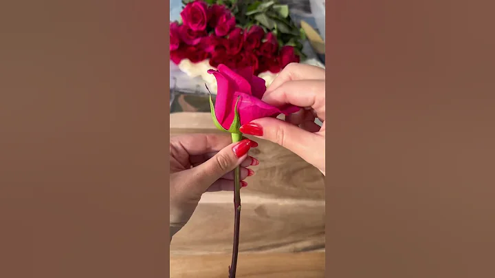 How To Make Roses Last Longer! #flowertips #freshrose #rose #hometips #howto #floralarrangement - DayDayNews