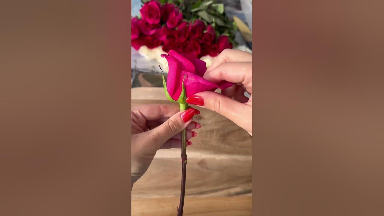 Learn How To Keep Your Roses Forever