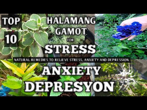 TOP 10 HALAMANG GAMOT PARA SA STRESS, ANXIETY AT DEPRESYON || NATURAL REMEDIES || NATURER