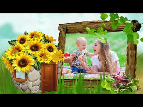 Подсолнухи. Стили для Proshow Producer бесплатно. 4 набор