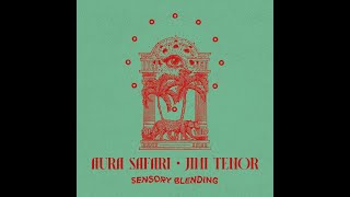 Aura Safari & Jimi Tenor 