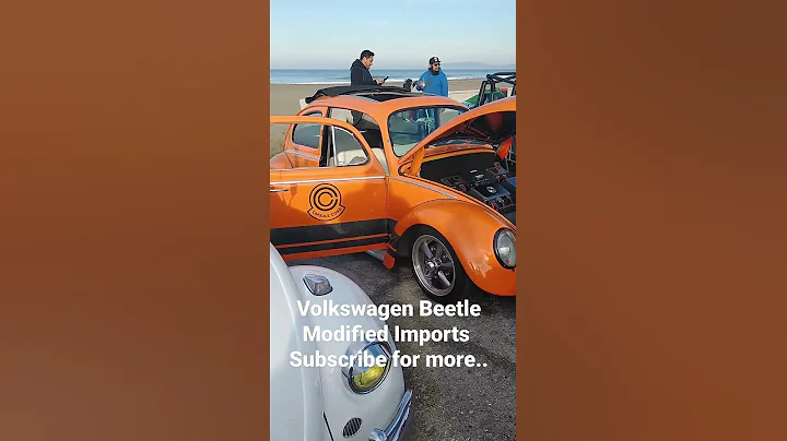 Volkswagen Beetle Modified Imports #Shorts