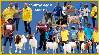 DENBIGH DAY 2 || GOAT SHOW GROUND || SRAJ INVOLVEMENT