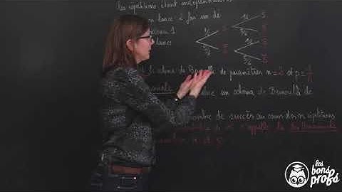 Schéma de Bernoulli   Le rappel de cours   Maths première   Les Bons Profs