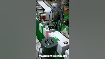 Automatic carton box flat surface labeling machine box top label applicator line