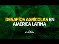 ➡️DESAFIOS [2022] 👩‍🌾👨‍🌾AGRICULTURA