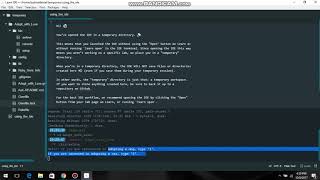 Adopt_with_Love CLI Data Gem by Justin Daniel