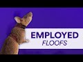 Animals that have joined the work force in peculiar ways