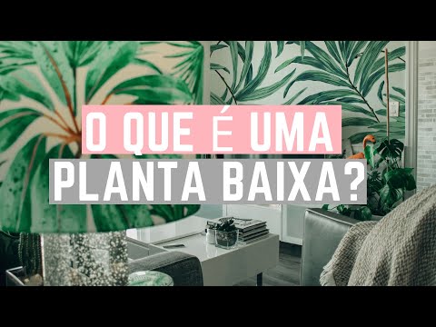 Vídeo: Què significa la planta baixa?