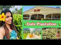 🍍🍍DOLE PLANTATION Tour🍍🍍Honululu, Hawaii