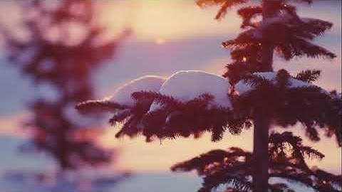 تلاوة ترقق القلب وطمأنينه لاتوصف💚