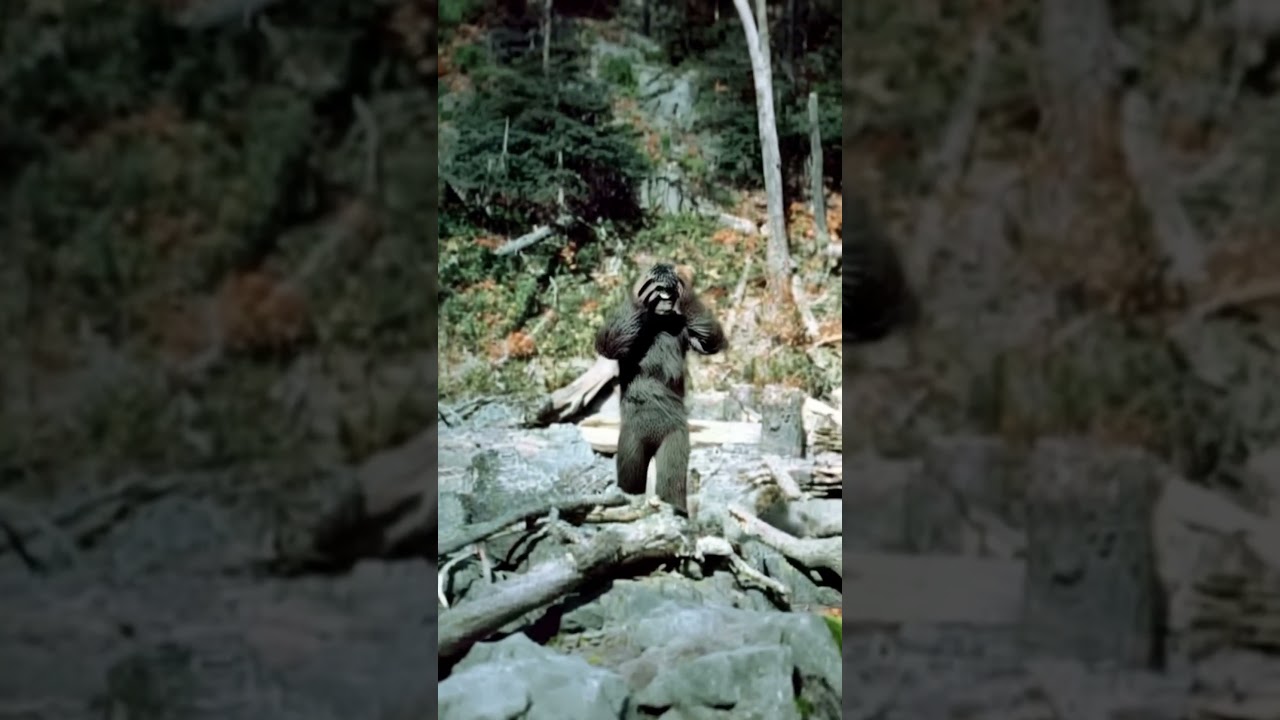 Bigfoot mystery solved! Rare footage 