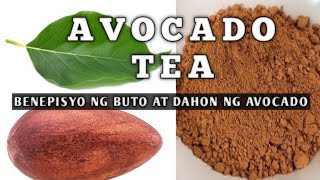 BENEPISYO NG BUTO AT DAHON NG AVOCADO || TOP 10 HEALTH BENEFITS OF AVOCADO TEA || Homefoodgarden