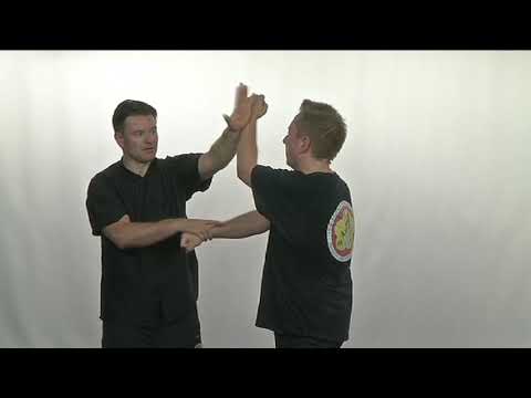 Ip Man Wing Chun Kung Fu - YouTube