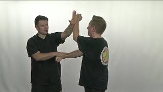 Ip Man Wing Chun Kung Fu