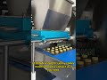 How To Use Wire Cut Cookie Depositor Machine?