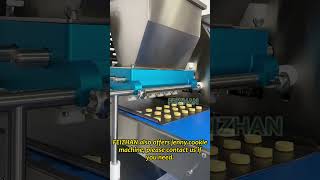 How To Use Wire Cut Cookie Depositor Machine?