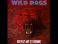 Wild dogs  streets of berlin