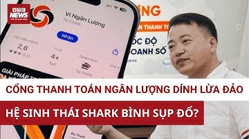 Cổng thanh toán ngân lượng - mắt xích đen tối của Shark Bình: Ví điện tử che đậy 117 tỷ đồng?