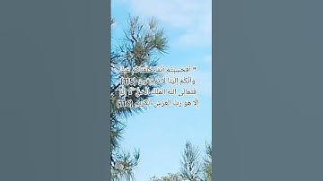 #islamicvideo #islamicstatus #reels #quran #اكسبلور #لايك #اذكار