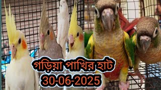 Garia Exotic Bird Market Price Update Today. গড়িয়া পাখির হাটে আজকের দাম। Garia Bird Market Price.