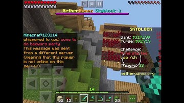 Nethergames Skyblock ep 1